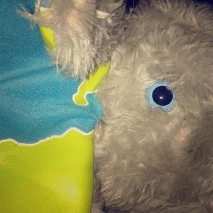 American Eagle, & Buckle!